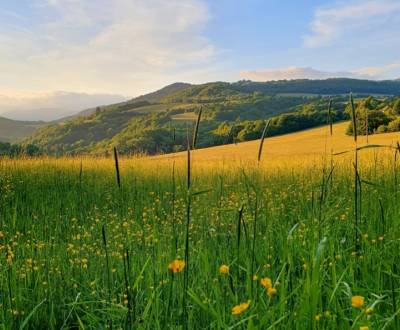 Kaufen landwirtsch. Grundstücke, landwirtsch. Grundstücke, Žiar nad Hr