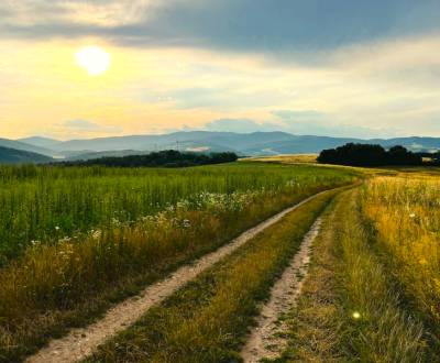 Kaufen landwirtsch. Grundstücke, landwirtsch. Grundstücke, Spišská Nov