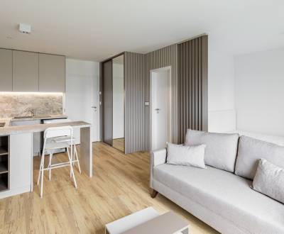 Mieten 1-Zimmer-Wohnung, 1-Zimmer-Wohnung, Astrová, Bratislava - Ružin