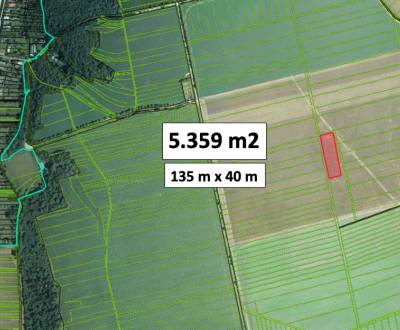 Kaufen landwirtsch. Grundstücke, landwirtsch. Grundstücke, Piešťany, S