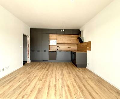 Mieten 1-Zimmer-Wohnung, 1-Zimmer-Wohnung, Hlohovec, Slowakei