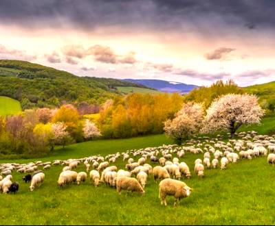 Kaufen landwirtsch. Grundstücke, landwirtsch. Grundstücke, Rožňava, Sl