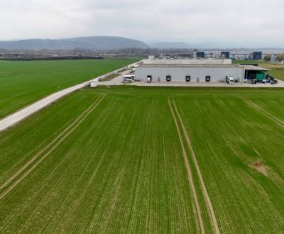 Kaufen landwirtsch. Grundstücke, landwirtsch. Grundstücke, Nové Mesto 