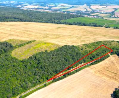 Kaufen landwirtsch. Grundstücke, landwirtsch. Grundstücke, Košice-okol