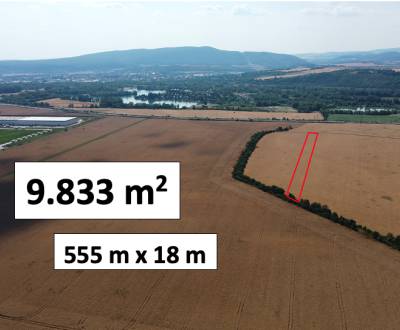 Kaufen landwirtsch. Grundstücke, landwirtsch. Grundstücke, Nové Mesto 