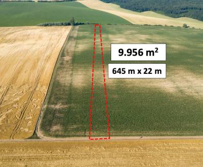 Kaufen landwirtsch. Grundstücke, landwirtsch. Grundstücke, Hlohovec, S