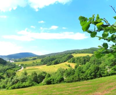 Kaufen landwirtsch. Grundstücke, landwirtsch. Grundstücke, Medzilaborc