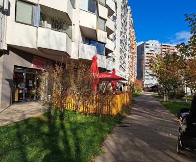 Kaufen 2-Zimmer-Wohnung, 2-Zimmer-Wohnung, Fedinova, Bratislava - Petr