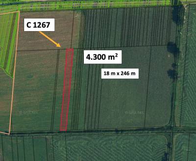 Kaufen landwirtsch. Grundstücke, landwirtsch. Grundstücke, Lučenec, Sl