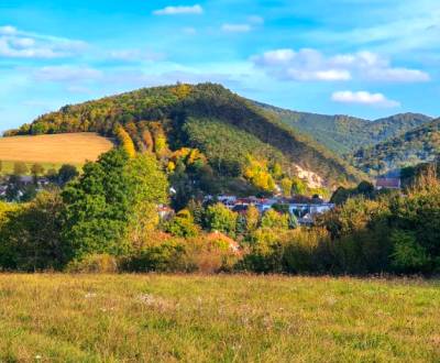 Kaufen landwirtsch. Grundstücke, landwirtsch. Grundstücke, Myjava, Slo