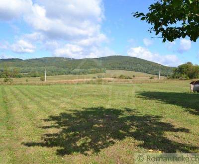 Kaufen landwirtsch. Grundstücke, landwirtsch. Grundstücke, Bardejov, S