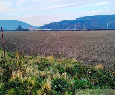 Kaufen landwirtsch. Grundstücke, landwirtsch. Grundstücke, Nové Mesto 