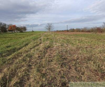 Kaufen landwirtsch. Grundstücke, landwirtsch. Grundstücke, Vranov nad 