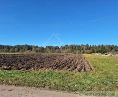 Kaufen landwirtsch. Grundstücke, landwirtsch. Grundstücke, Liptovský M