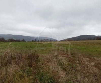 Kaufen landwirtsch. Grundstücke, landwirtsch. Grundstücke, Humenné, Sl