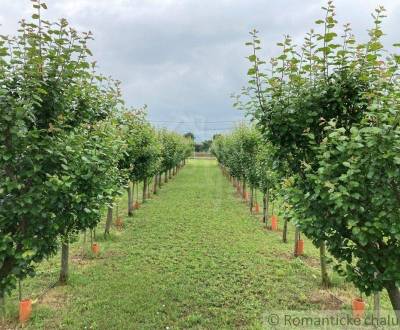 Kaufen Garten, Garten, Nové Zámky, Slowakei