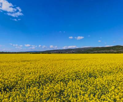 Kaufen landwirtsch. Grundstücke, landwirtsch. Grundstücke, Pezinok, Sl