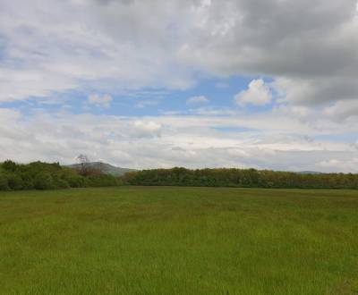 Kaufen landwirtsch. Grundstücke, landwirtsch. Grundstücke, Trnava, Slo