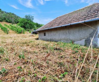 Kaufen Ferienhaus, Ferienhaus, Levice, Slowakei