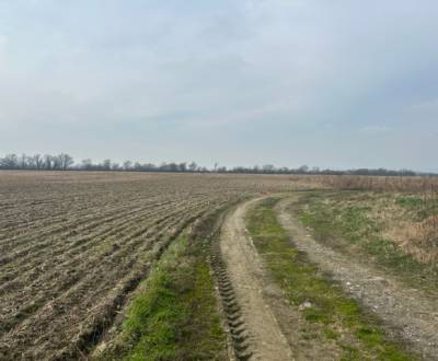 Kaufen landwirtsch. Grundstücke, landwirtsch. Grundstücke, Domky, Sene