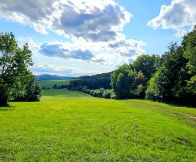 Kaufen landwirtsch. Grundstücke, landwirtsch. Grundstücke, Piešťany, S