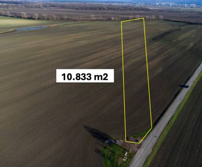 Kaufen landwirtsch. Grundstücke, landwirtsch. Grundstücke, Malacky, Sl