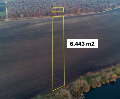 Kaufen landwirtsch. Grundstücke, landwirtsch. Grundstücke, Malacky, Sl