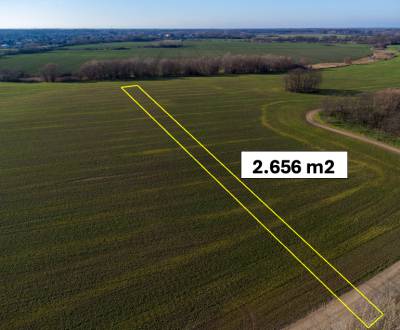 Kaufen landwirtsch. Grundstücke, landwirtsch. Grundstücke, Malacky, Sl