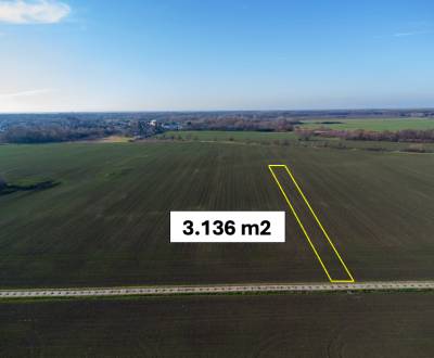 Kaufen landwirtsch. Grundstücke, landwirtsch. Grundstücke, Malacky, Sl