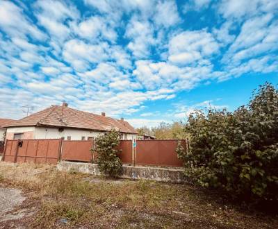 Kaufen Einfamilienhaus, Einfamilienhaus, Dunajská Streda, Slowakei