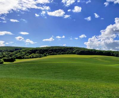 Kaufen landwirtsch. Grundstücke, landwirtsch. Grundstücke, Myjava, Slo