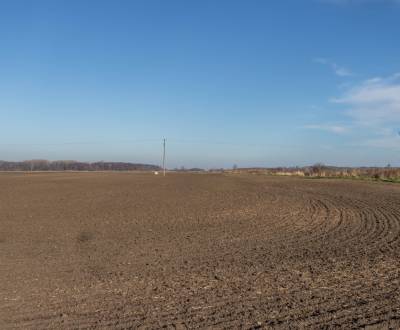 Kaufen landwirtsch. Grundstücke, landwirtsch. Grundstücke, Malacky, Sl