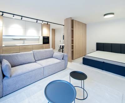 Mieten 1-Zimmer-Wohnung, 1-Zimmer-Wohnung, Ľadová, Bratislava - Staré 