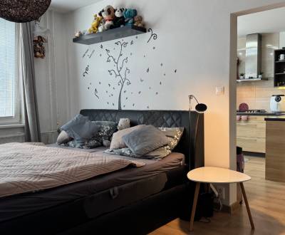 Kaufen 1-Zimmer-Wohnung, 1-Zimmer-Wohnung, Lipová, Nitra, Slowakei