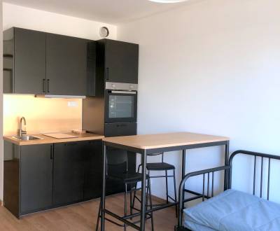 Mieten 1-Zimmer-Wohnung, 1-Zimmer-Wohnung, Fialová, Bratislava - Petrž