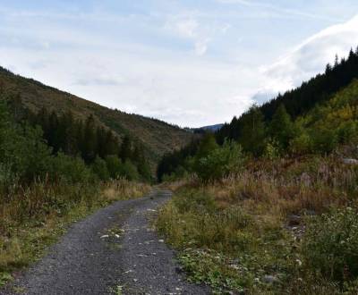 Kaufen landwirtsch. Grundstücke, landwirtsch. Grundstücke, Prievidza, 