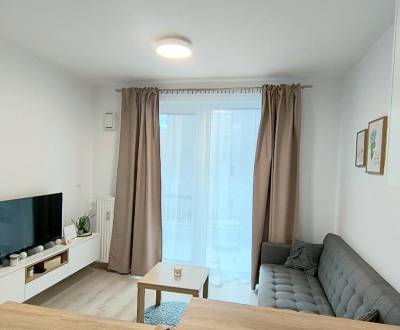 Mieten 2-Zimmer-Wohnung, 2-Zimmer-Wohnung, Račianska, Bratislava - Nov