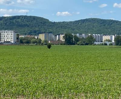 Baugrund, zu verkaufen, Zvolen, Slowakei