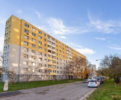 BA/PETRŽALKA-Verkauf renovierte 4-Zimmer-Wohnung mit Loggia und Keller