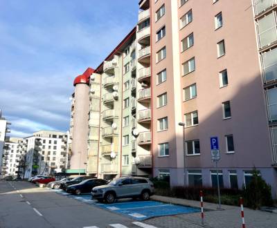 Mieten 1-Zimmer-Wohnung, 1-Zimmer-Wohnung, Agátová, Bratislava - Dúbra