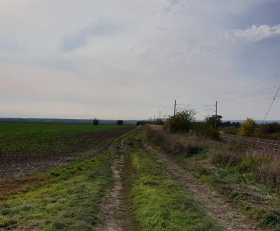 Kaufen landwirtsch. Grundstücke, landwirtsch. Grundstücke, Pezinok, Sl