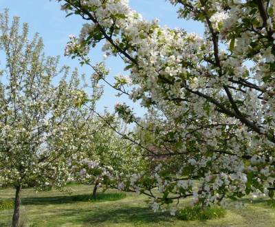 Suche Baugrundstück Erholung, Baugrundstück Erholung, Pezinok, Slowake