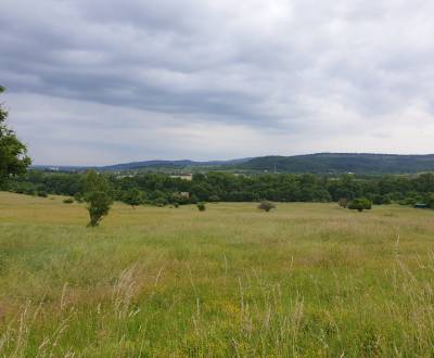 Kaufen landwirtsch. Grundstücke, landwirtsch. Grundstücke, Trnava, Slo