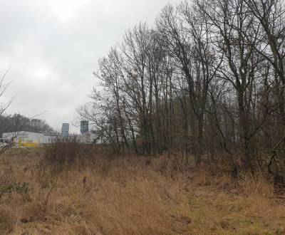 Kaufen landwirtsch. Grundstücke, landwirtsch. Grundstücke, Pezinok, Sl