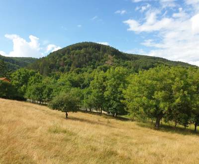 Kaufen landwirtsch. Grundstücke, landwirtsch. Grundstücke, Piešťany, S