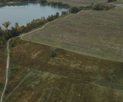 Kaufen landwirtsch. Grundstücke, landwirtsch. Grundstücke, Hviezdoslav