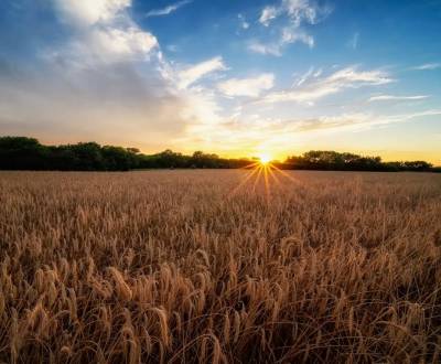 Kaufen landwirtsch. Grundstücke, landwirtsch. Grundstücke, Prievidza, 