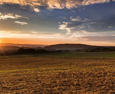 Kaufen landwirtsch. Grundstücke, landwirtsch. Grundstücke, Trebišov, S