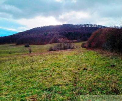 Kaufen landwirtsch. Grundstücke, landwirtsch. Grundstücke, Nové Mesto 