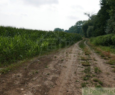 Kaufen landwirtsch. Grundstücke, landwirtsch. Grundstücke, Pezinok, Sl